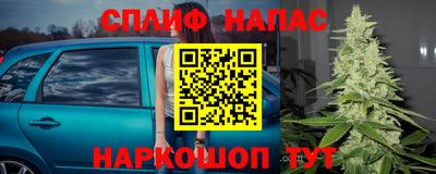 стаф Туймазы