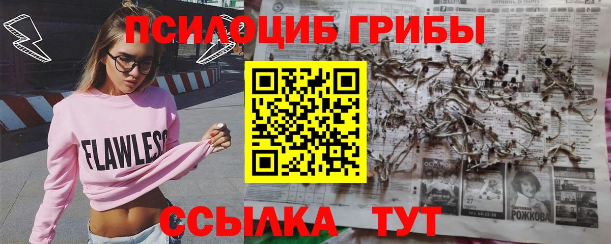 наркошоп  Вход с VPN  Новоалтайск  Галлюциногенные грибы Psilocybine cubensis 