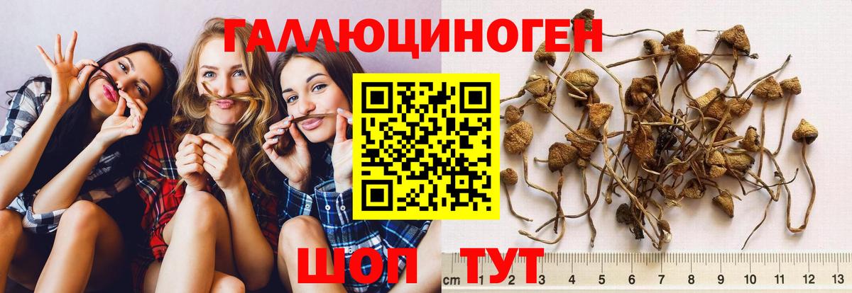 Галлюциногенные грибы мицелий Новоалтайск